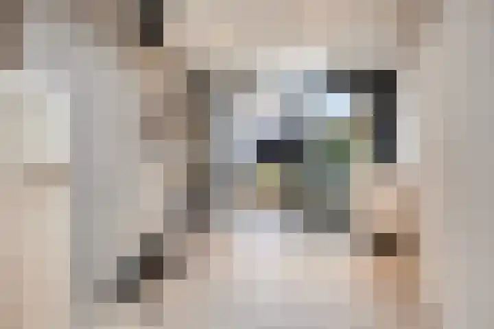 Brabantlaan 2 Riel thumbnail 32