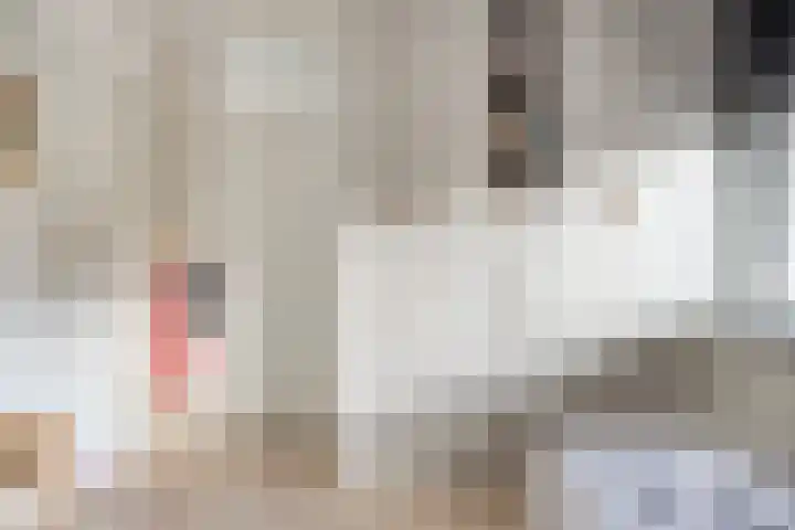 Brabantlaan 2 Riel thumbnail 39