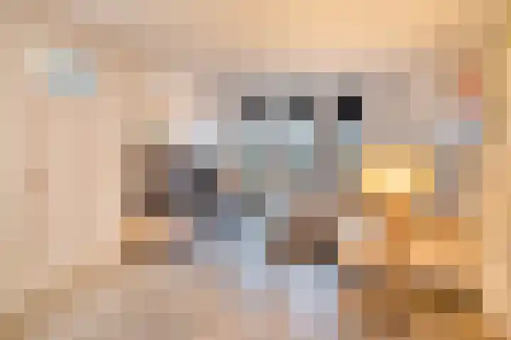 Brabantlaan 2 Riel thumbnail 4