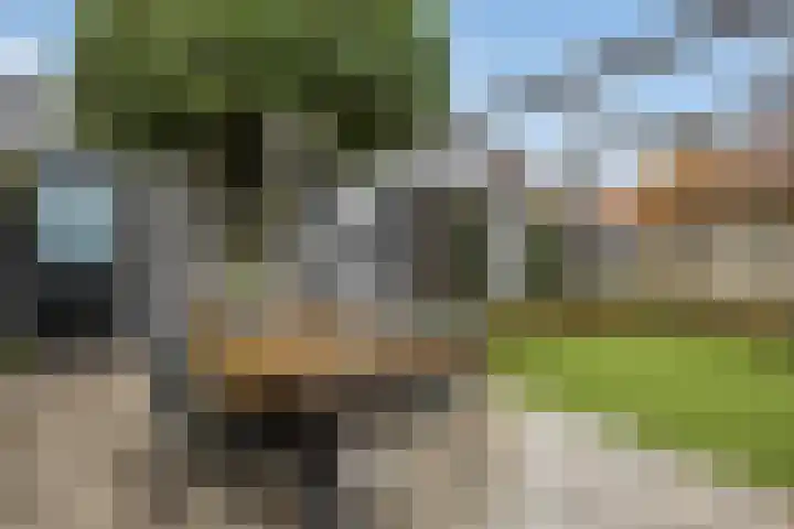 Brabantlaan 2 Riel thumbnail 47