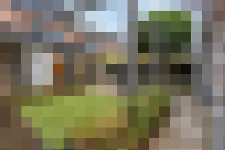 Brabantlaan 2 Riel thumbnail 48