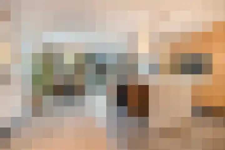 Brabantlaan 2 Riel thumbnail 5