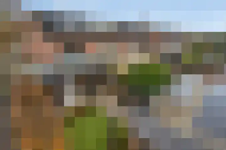 Brabantlaan 2 Riel thumbnail 50