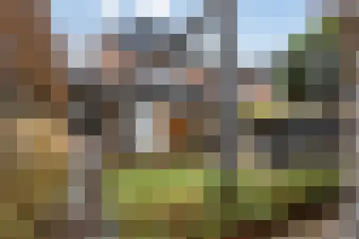 Brabantlaan 2 Riel thumbnail 8