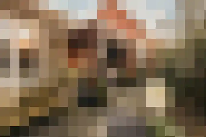 Brabantlaan 3 Heemstede thumbnail 20