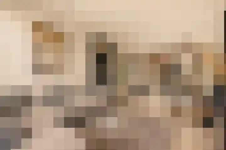 Brabantlaan 3 Heemstede thumbnail 4