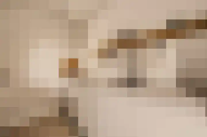 Brabantlaan 3 Heemstede thumbnail 8