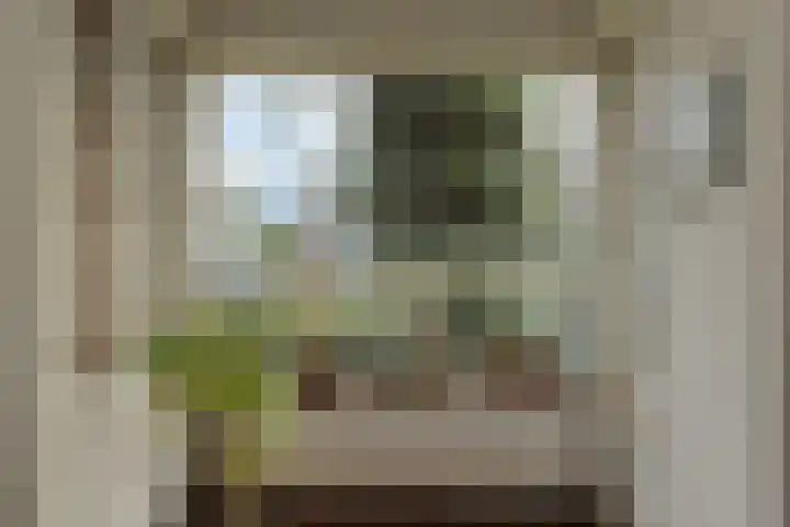 Brabantlaan 36 Oosterhout thumbnail 10