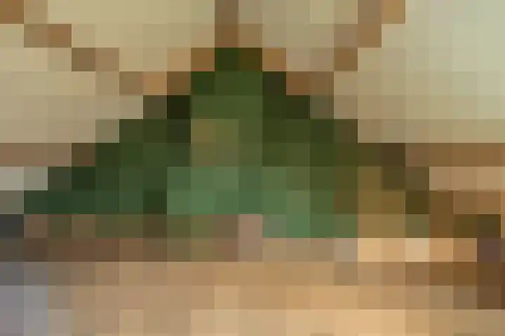 Brabantlaan 36 Oosterhout thumbnail 29