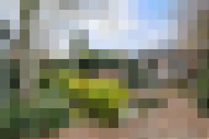 Brabantlaan 36 Oosterhout thumbnail 33