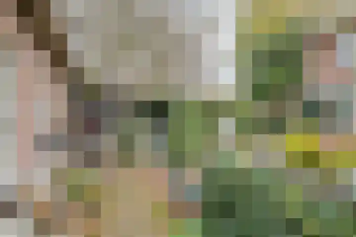 Brabantlaan 36 Oosterhout thumbnail 35