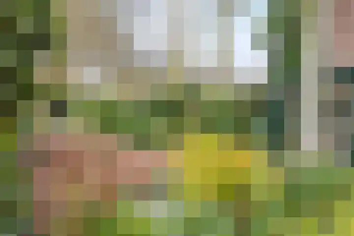 Brabantlaan 36 Oosterhout thumbnail 36