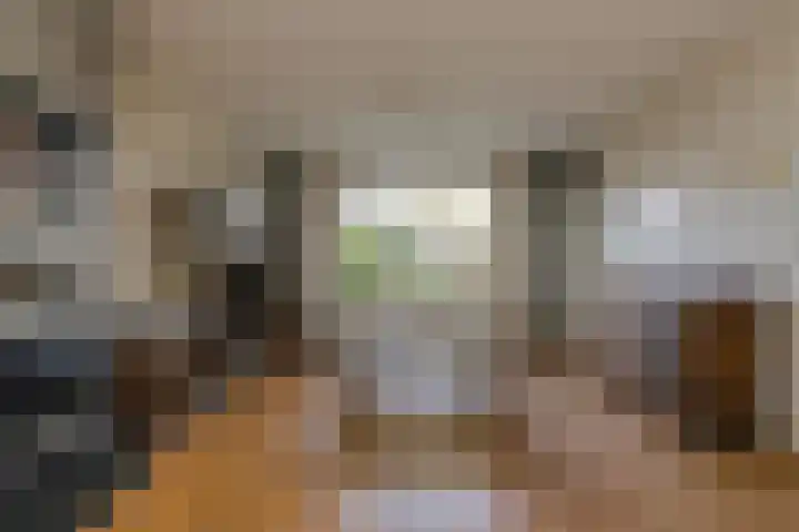 Brabantlaan 36 Oosterhout thumbnail 4