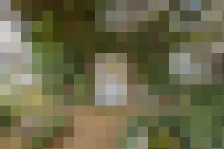 Brabantlaan 36 Oosterhout thumbnail 41