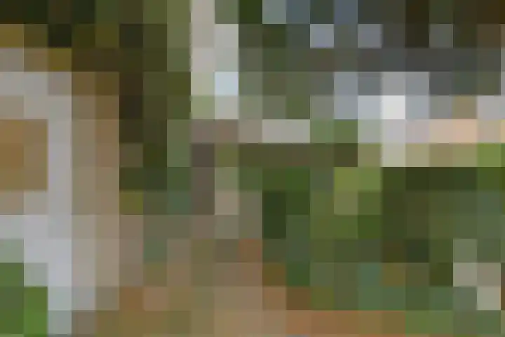 Brabantlaan 36 Oosterhout thumbnail 42