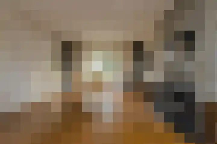 Brabantlaan 36 Oosterhout thumbnail 8