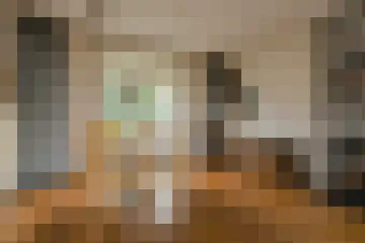 Brabantlaan 36 Oosterhout thumbnail 9