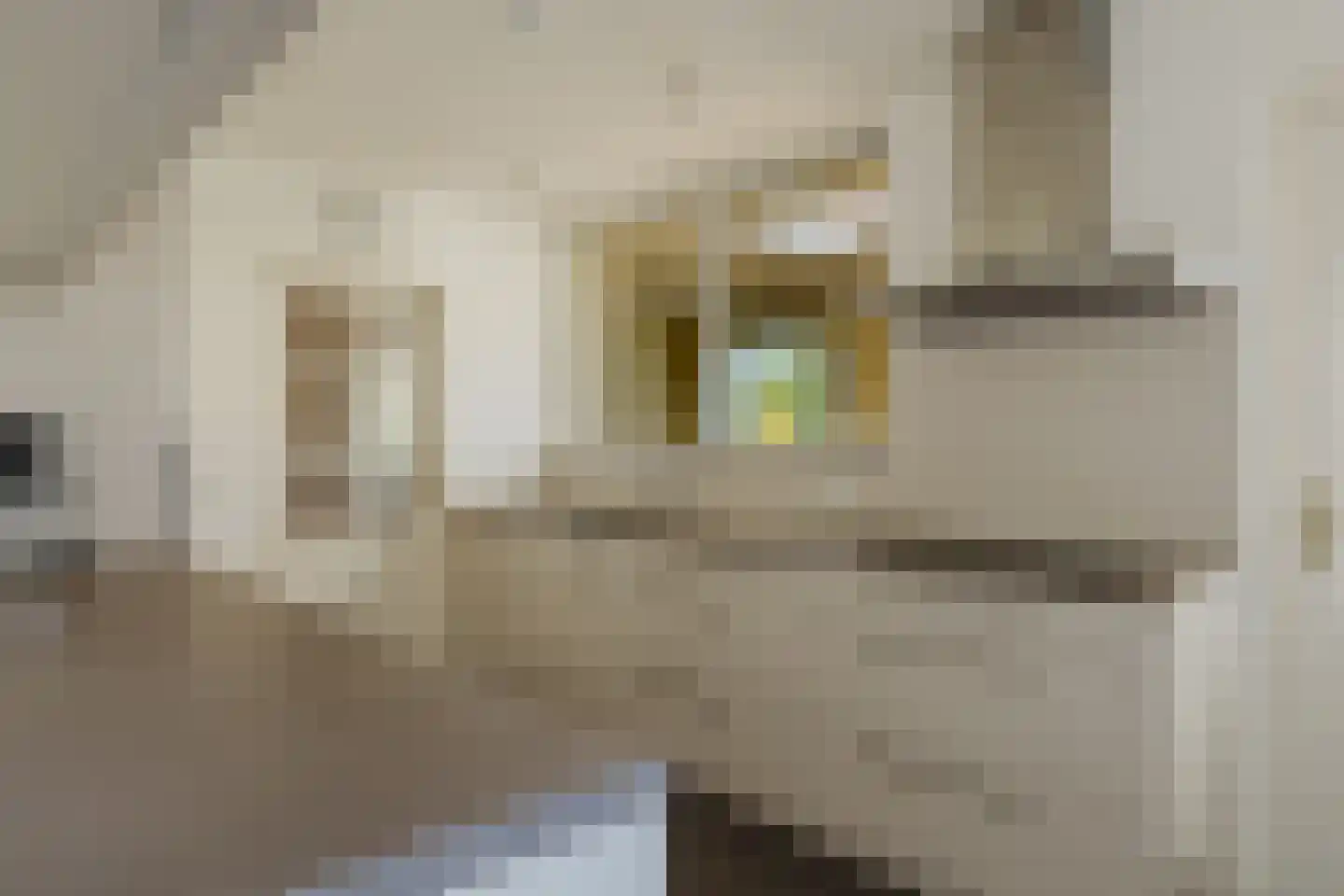 Brabantlaan 51 Vught thumbnail 37