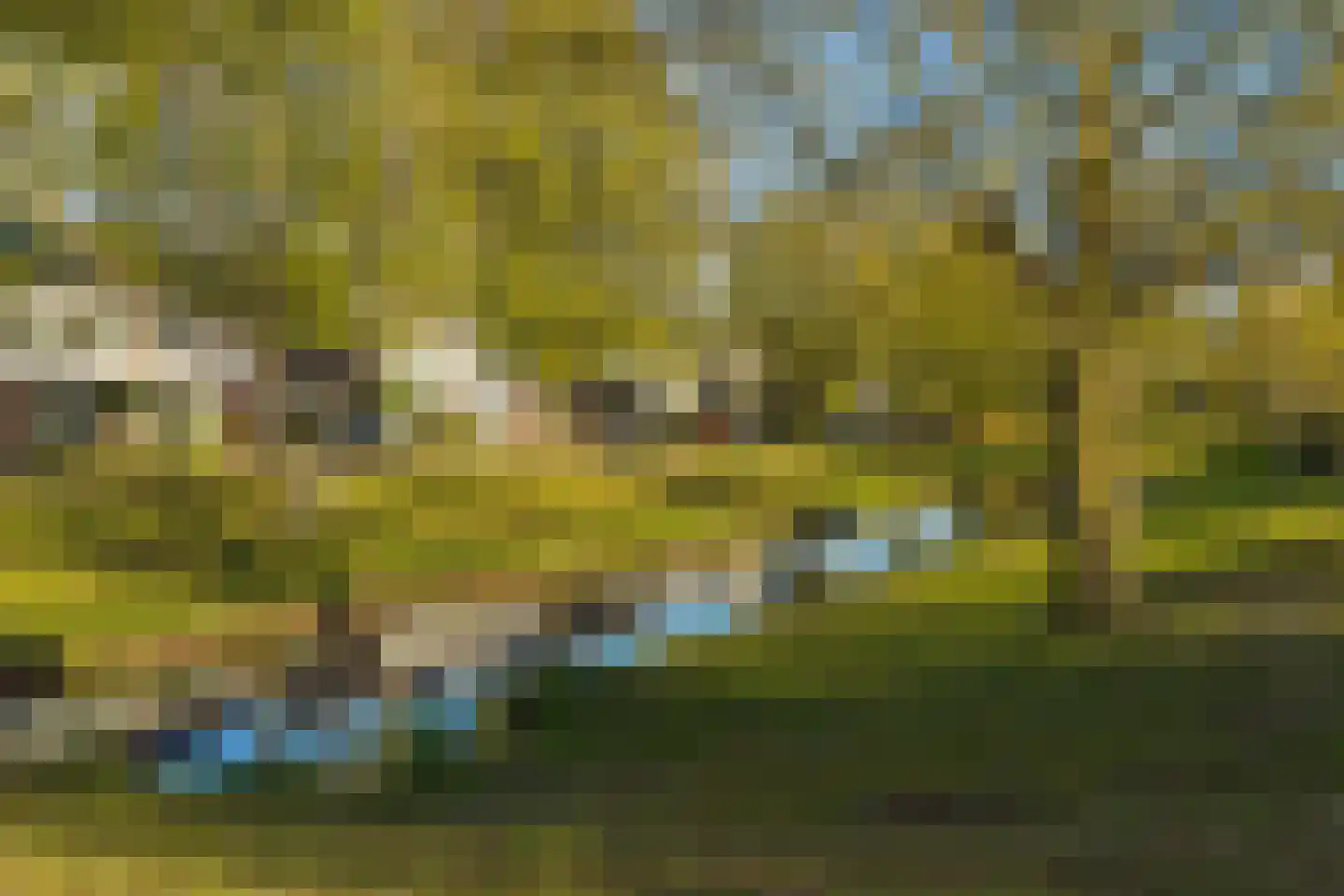 Brabantlaan 51 Vught thumbnail 90