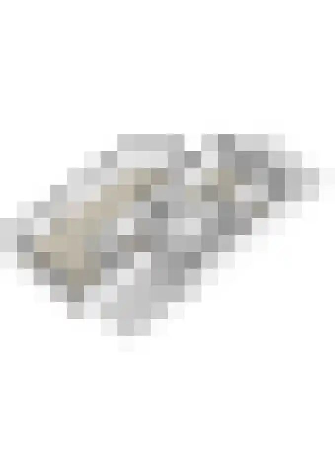 Brabantlaan 51 Vught thumbnail 98
