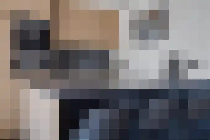 Brabantlaan 6 Aarle-Rixtel thumbnail 10