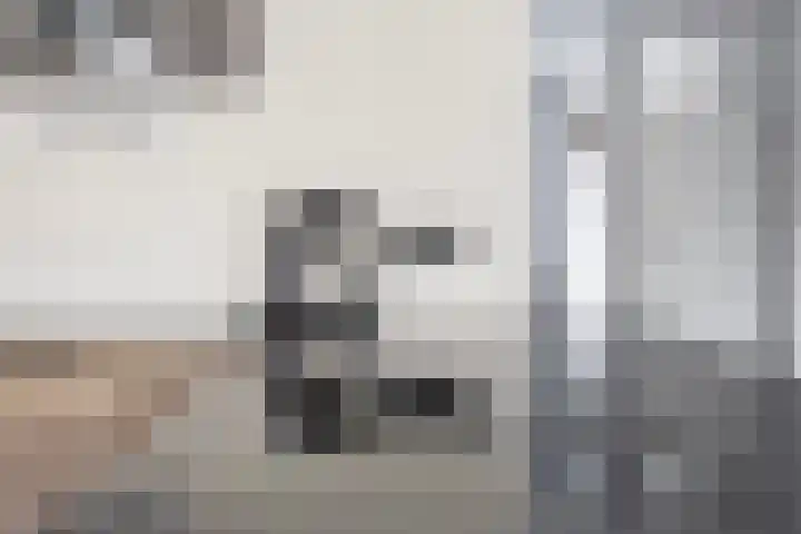 Brabantlaan 6 Aarle-Rixtel thumbnail 13