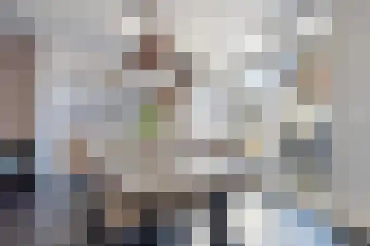 Brabantlaan 6 Aarle-Rixtel thumbnail 15