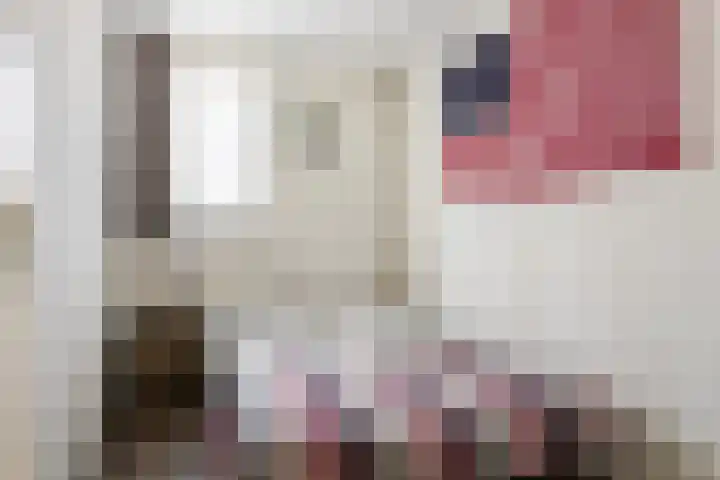 Brabantlaan 6 Aarle-Rixtel thumbnail 27