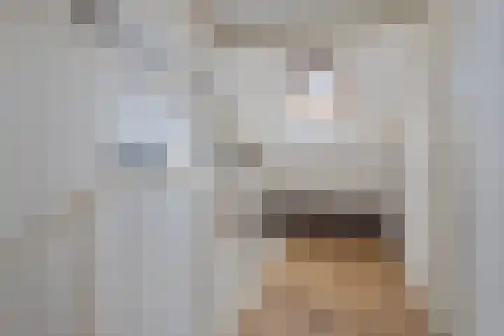 Brabantlaan 6 Aarle-Rixtel thumbnail 31