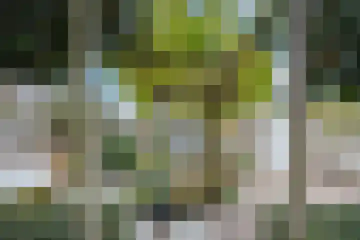 Brabantlaan 72 Vught thumbnail 33