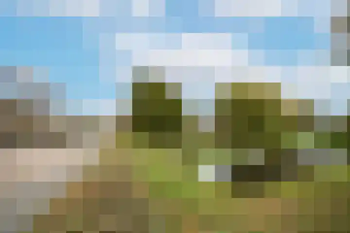 Brabantlaan 72 Vught thumbnail 39