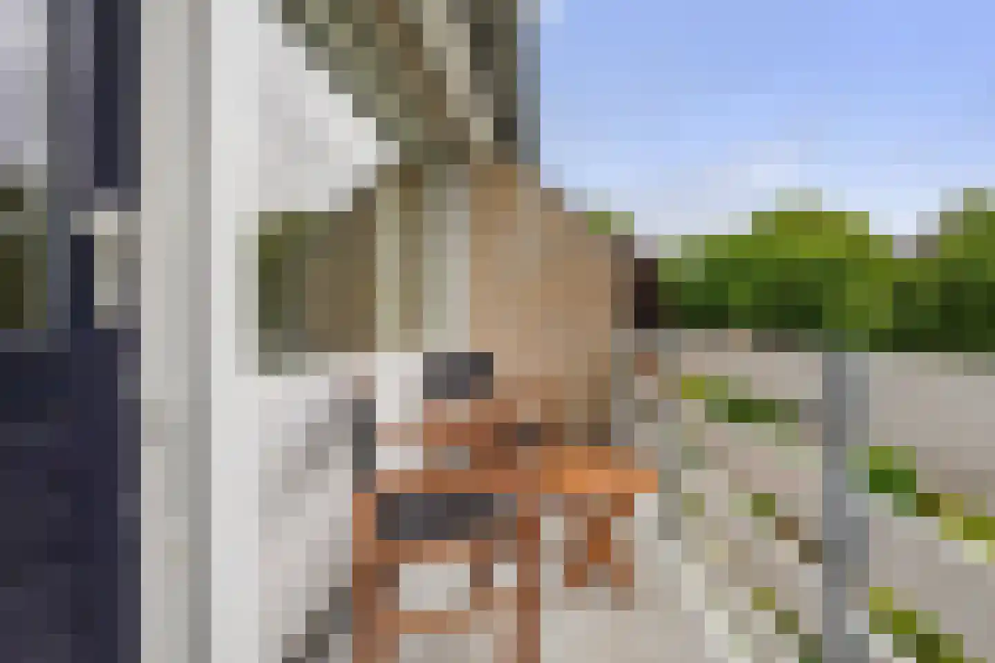 Brabantlaan 8 Waalwijk thumbnail 26