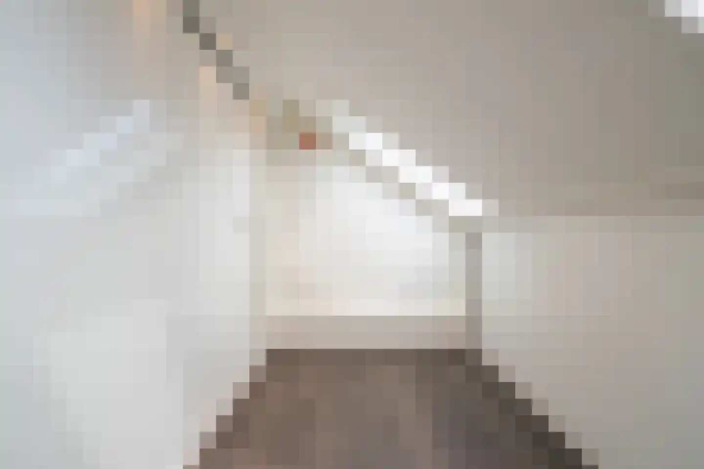 Brabantlaan 8 Waalwijk thumbnail 37