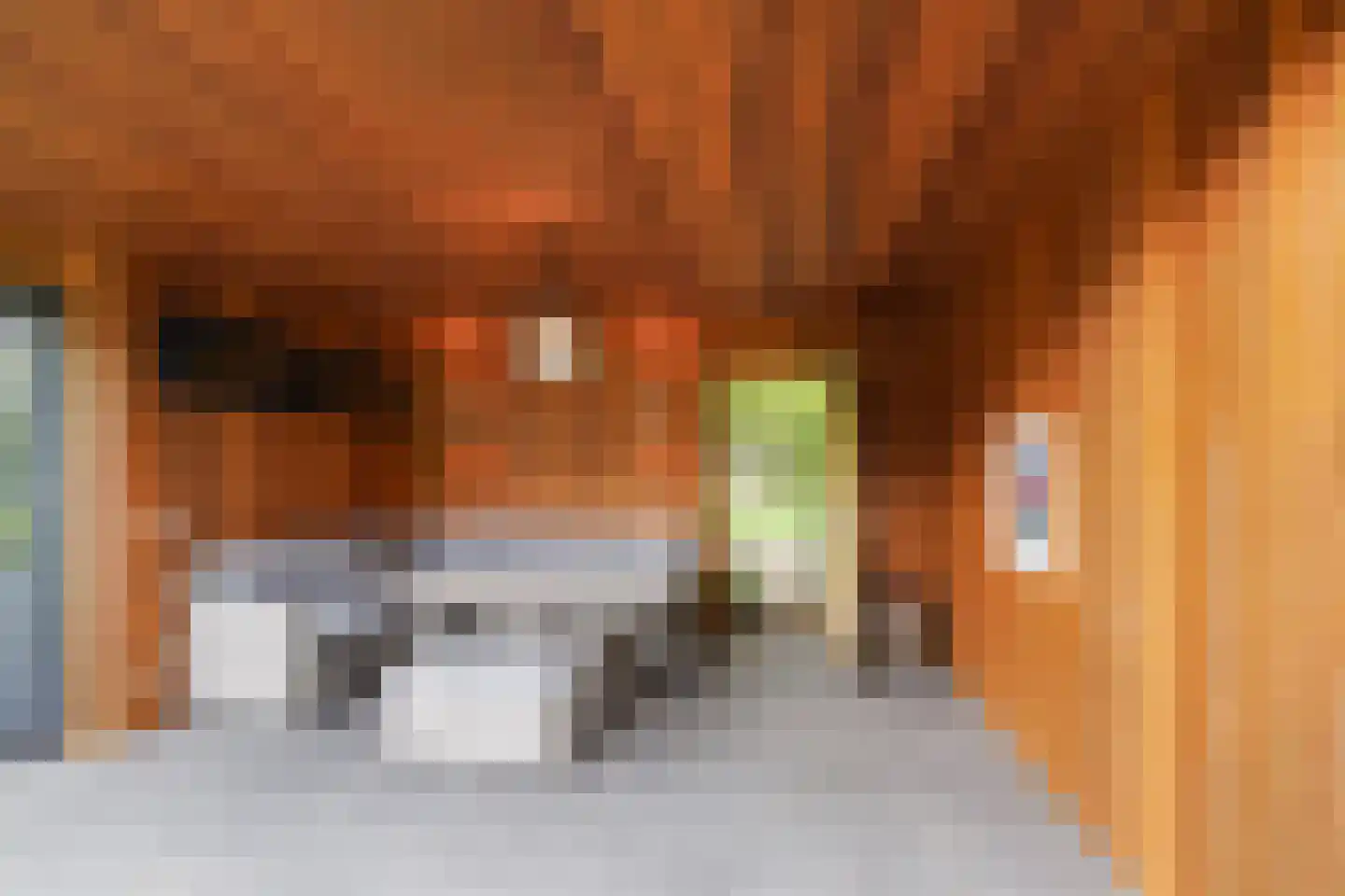 Brabantlaan 8 Waalwijk thumbnail 42