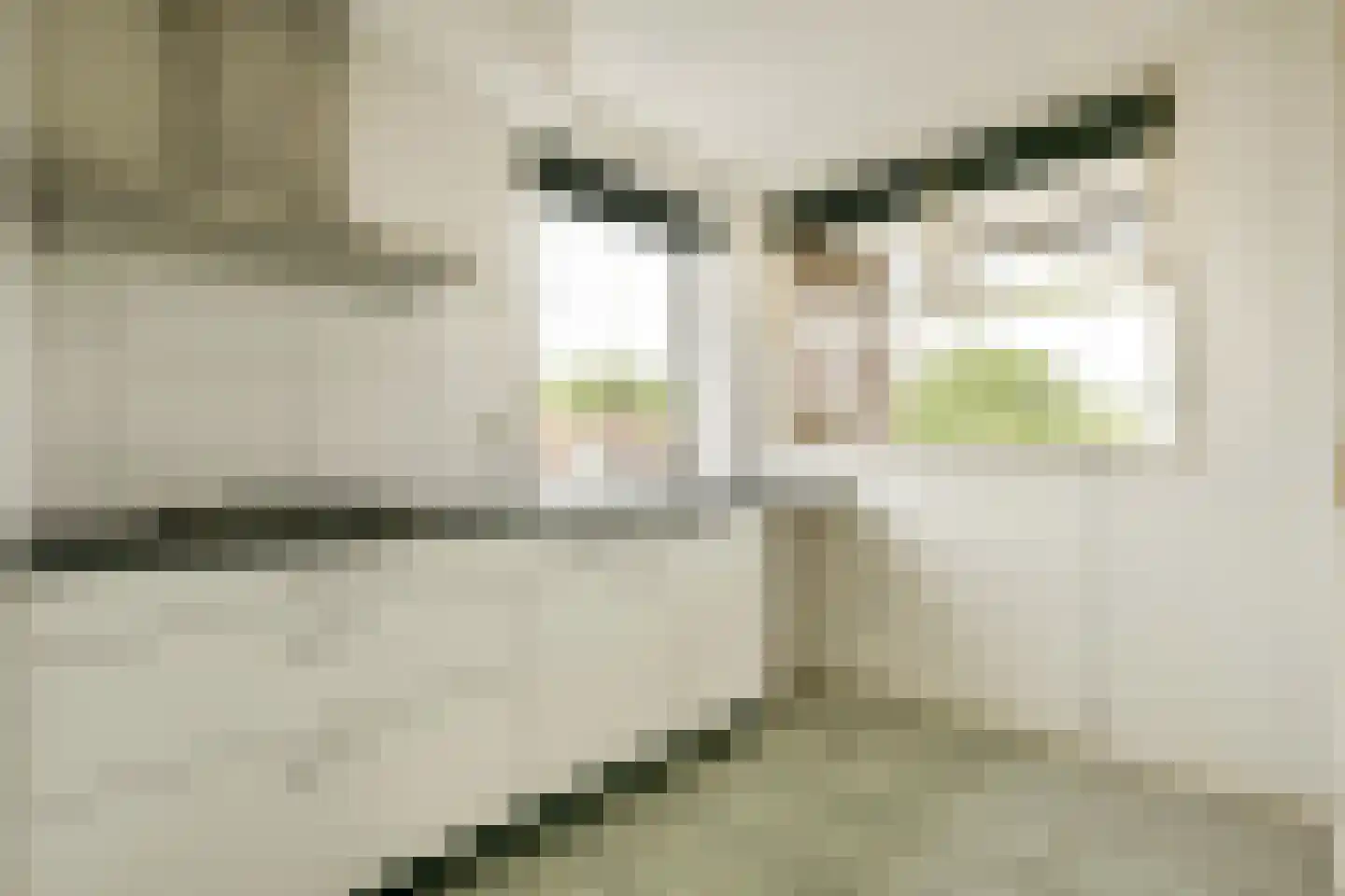 Brabantplein 37 A Breda thumbnail 4