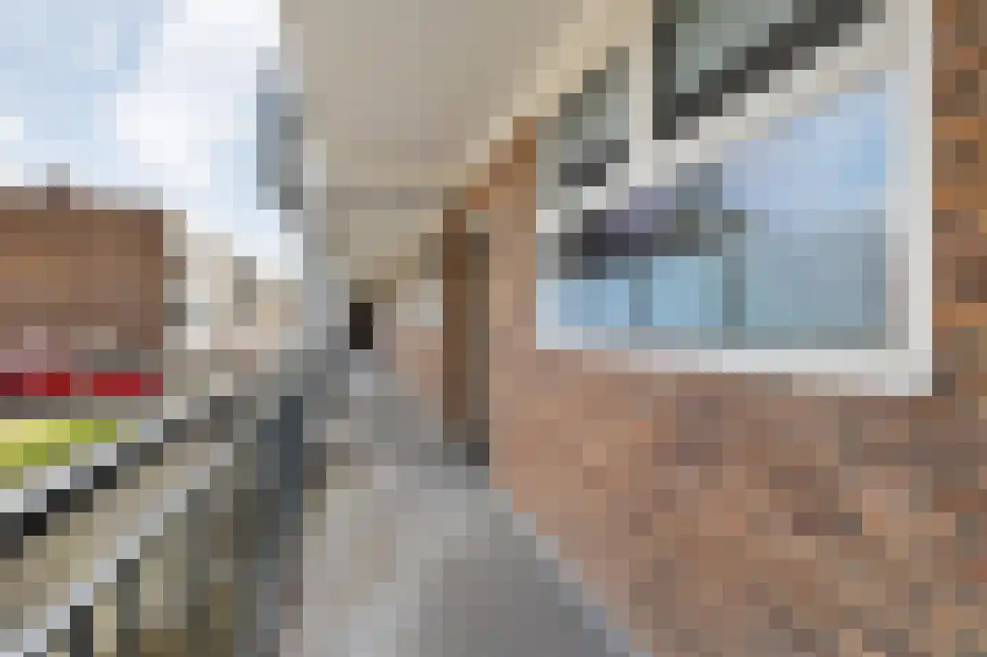 Brabantplein 41 Breda thumbnail 14