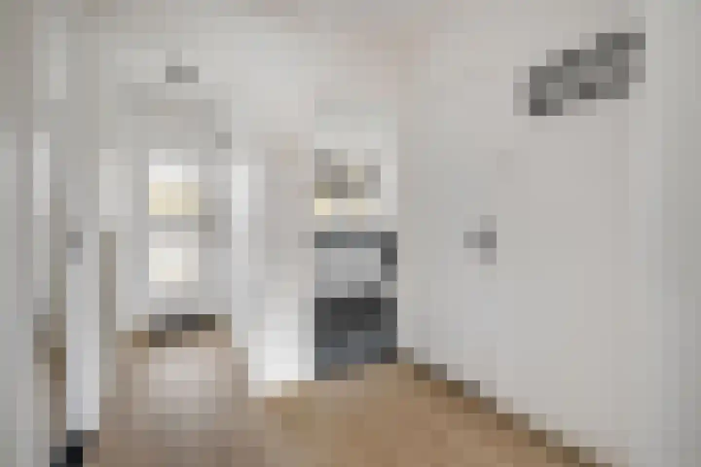 Brabantplein 41 Breda thumbnail 17