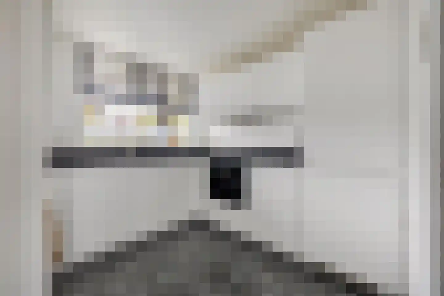 Brabantplein 41 Breda thumbnail 29