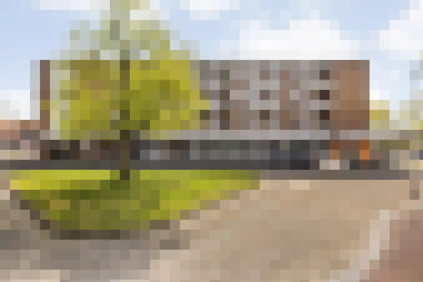 Brabantplein 41 Breda thumbnail 6