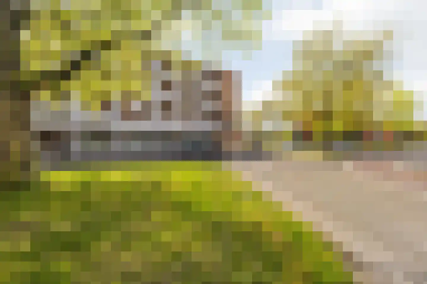 Brabantplein 41 Breda thumbnail 8