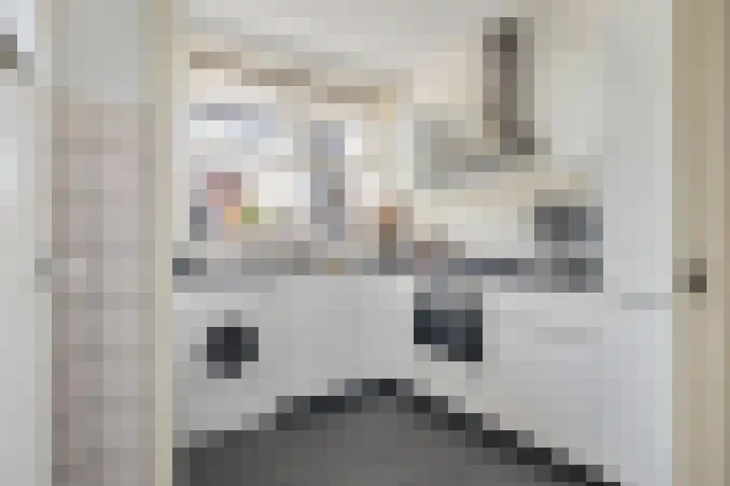 Brabantplein 42 Breda thumbnail 31