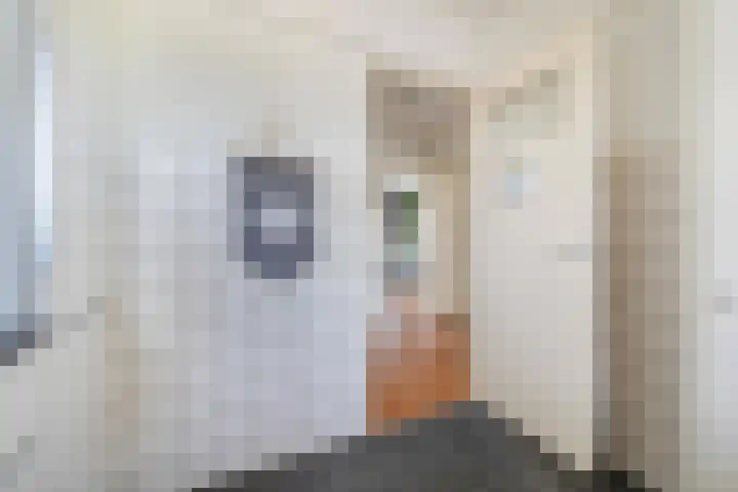 Brabantplein 42 Breda thumbnail 33