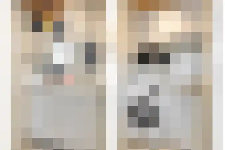 Brabantplein 7 Uden thumbnail 12