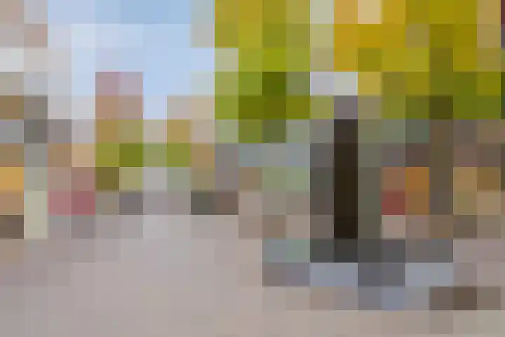 Brabantplein 7 Uden thumbnail 17