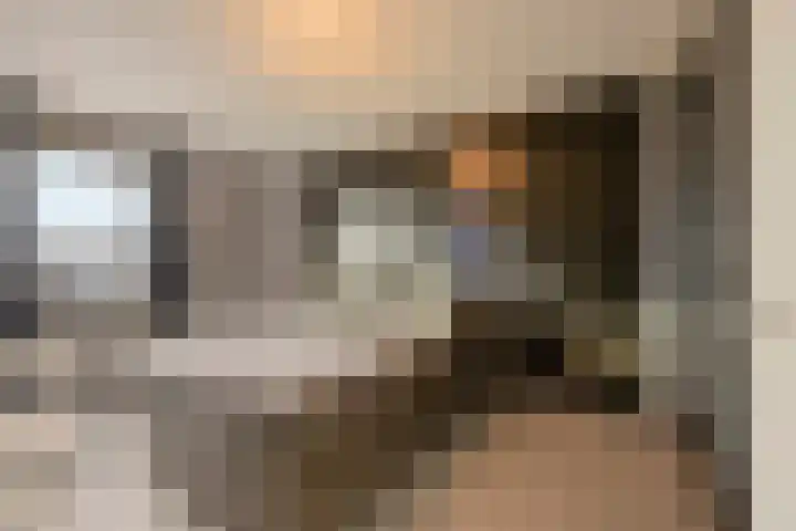 Brabantse Bellefleur 81 Fijnaart thumbnail 15
