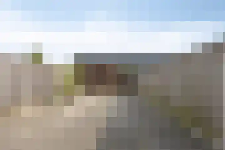 Brabantse Bellefleur 81 Fijnaart thumbnail 22
