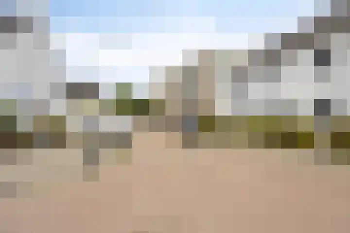 Brabantse Bellefleur 81 Fijnaart thumbnail 23