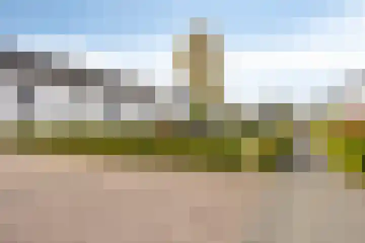 Brabantse Bellefleur 81 Fijnaart thumbnail 24