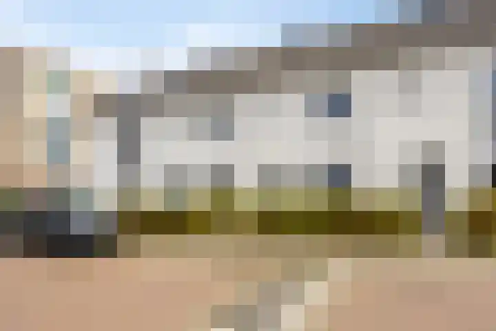 Brabantse Bellefleur 81 Fijnaart thumbnail 4