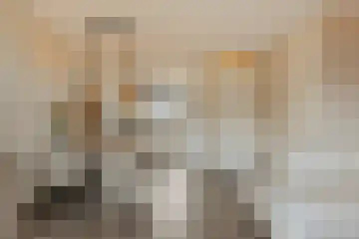 Brabantse Bellefleur 81 Fijnaart thumbnail 9